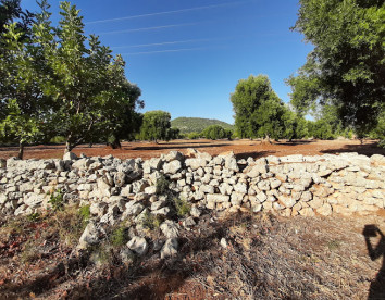 masseria chiancarella foto 3