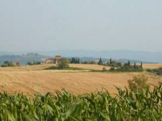 tenuta di mensanello