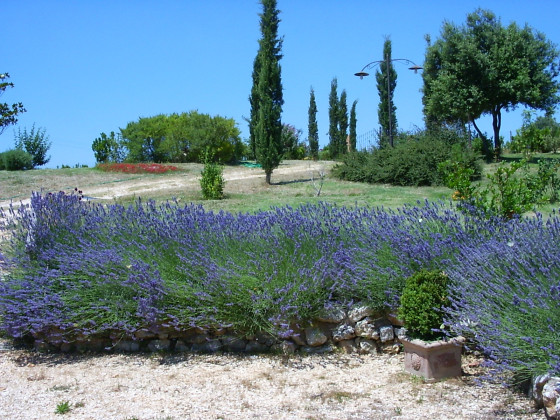 podere costa romana