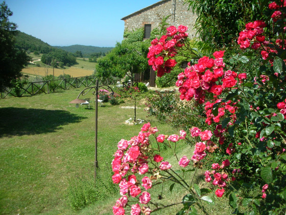 podere costa romana