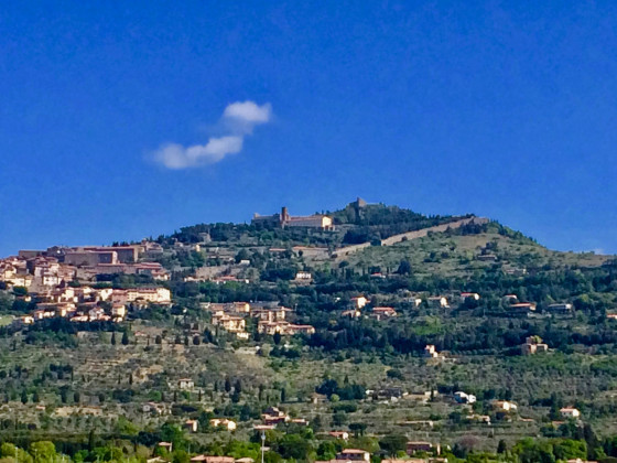 i nidi di cortona