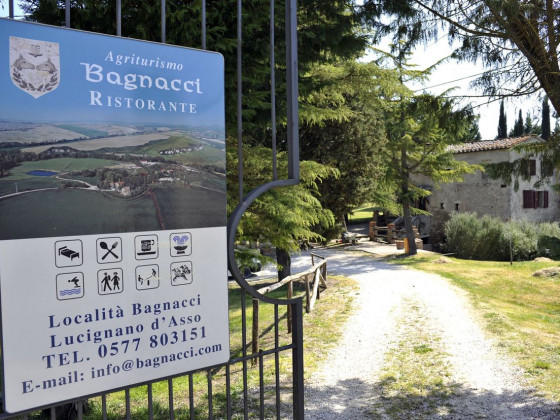 bagnacci