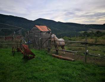 rifugio delle poiane foto 4