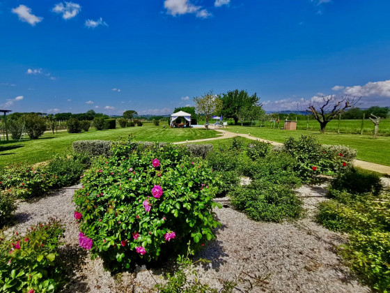 i mori gelsi - fattoria spinola