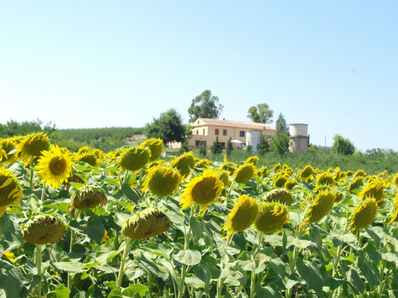 Turismo rurale masseria la guardata