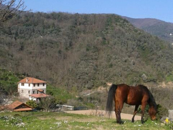 valle chiappella