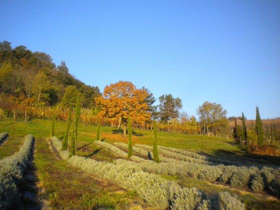 il cavicchio