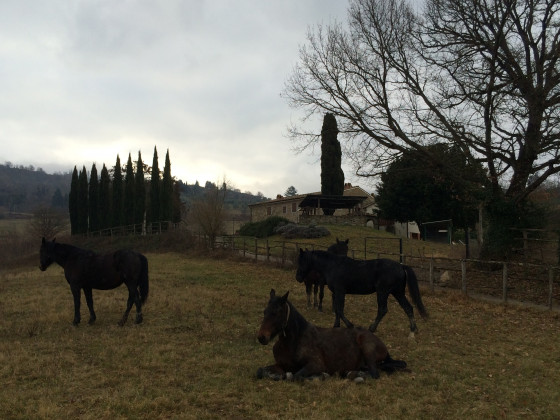 casa verragoli