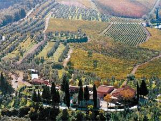 terre di melazzano