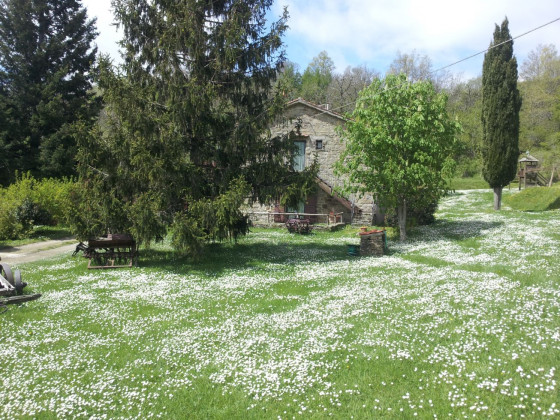 fattoria il praticino