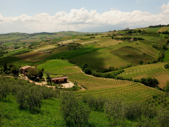 fiorano