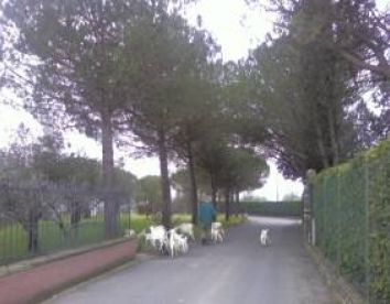 cascina dei peri