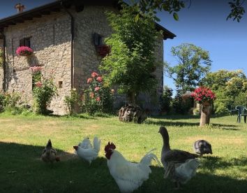 Casa-rural La Piana Dei Castagni - Castel D'Aiano