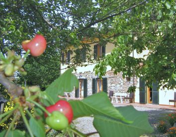 Farm-house Il Gelso - Santa Luce