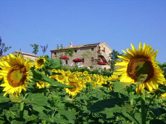 la casa degli gnomi