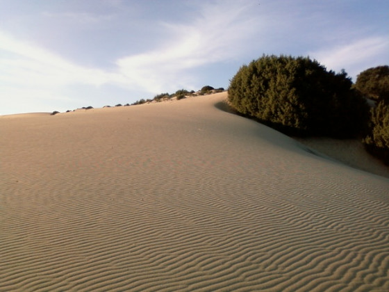 rio castangias