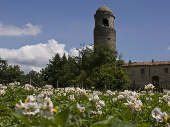 montagna verde