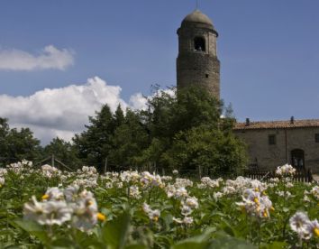 Farm-house Montagna Verde - Licciana Nardi
