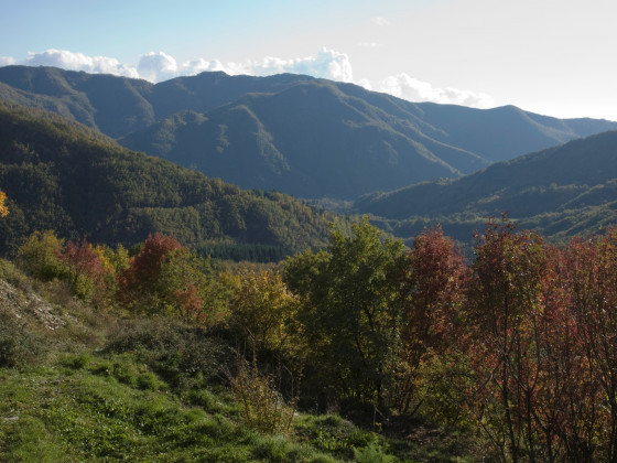 montagna verde