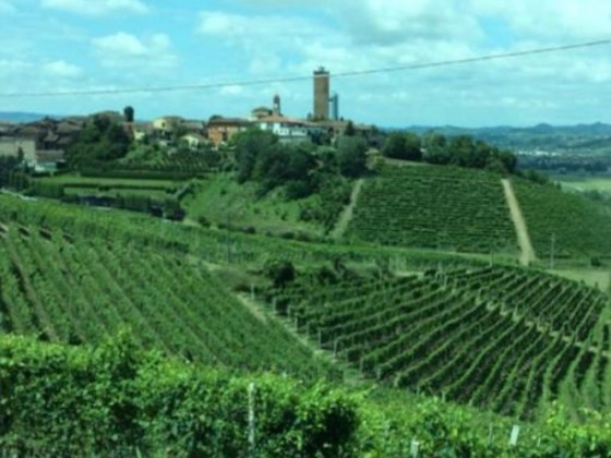 cascina vignole