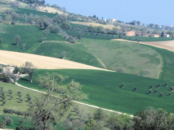 fattoria le origini bio agriturismo