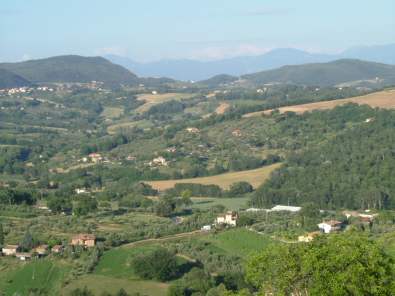 poggio della rosa