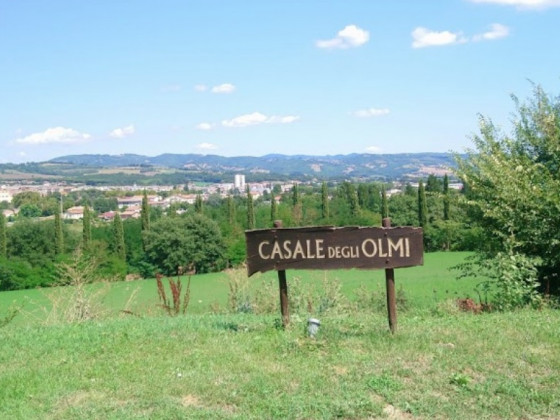 casale degli olmi