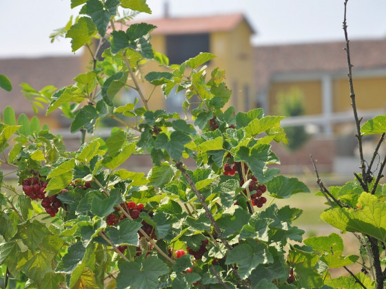 cascina corte grande