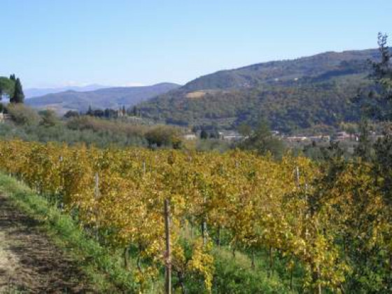 fattoria di poggiopiano