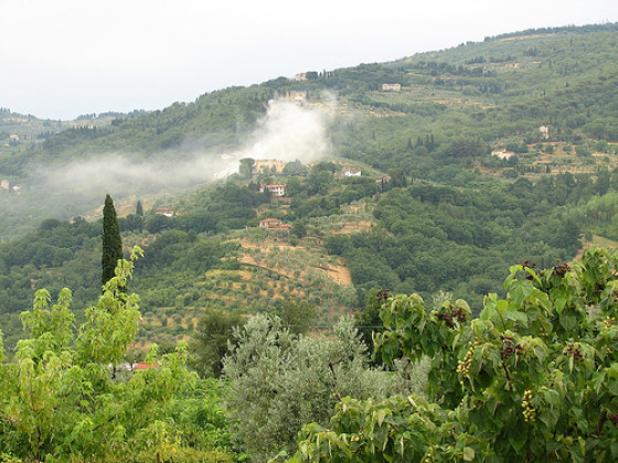 fattoria di poggiopiano