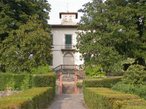 il pezzatino