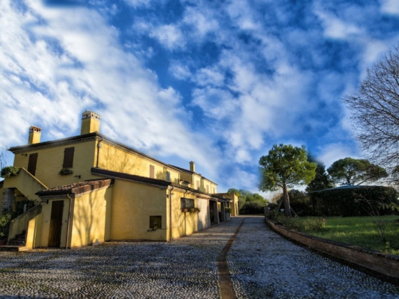 il podere del germano reale