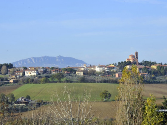 il podere del germano reale