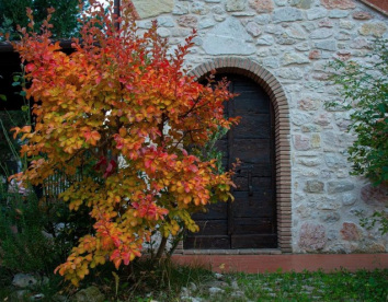 antico borghetto