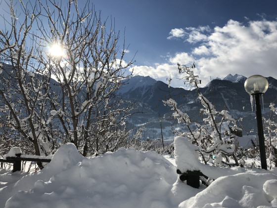 verger plein soleil