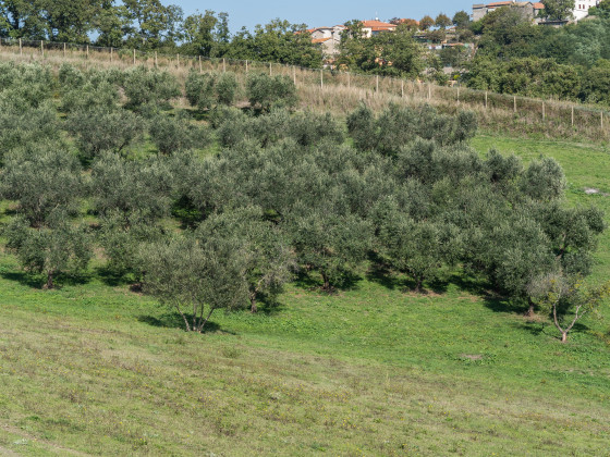 bella cima