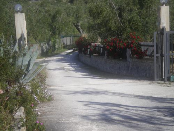 azienda agricola macchiaria