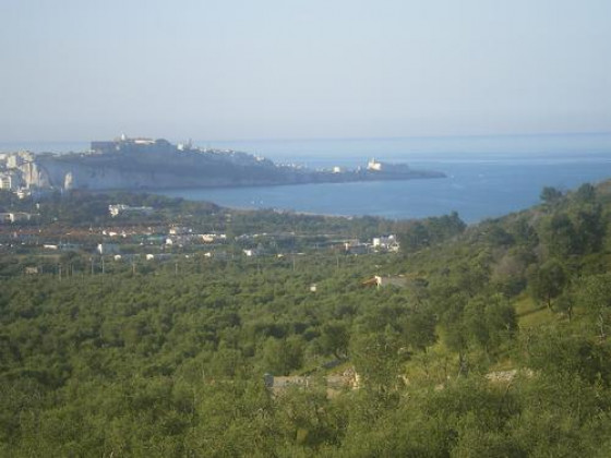 azienda agricola macchiaria