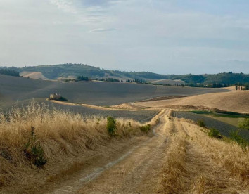 il cantuccio del sole foto 3