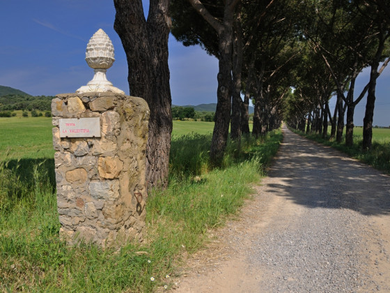 La valentina nuova