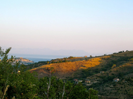 il falco del cilento