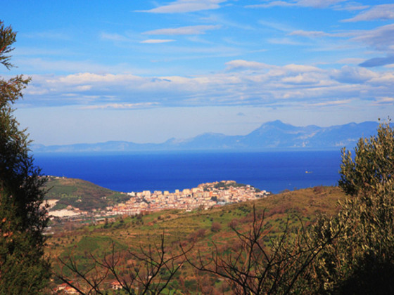 il falco del cilento