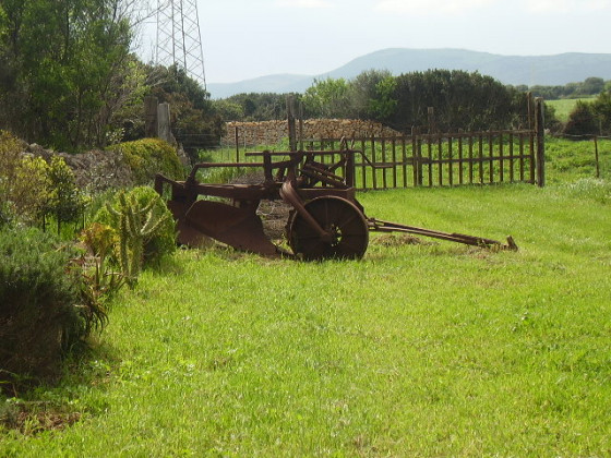 cuile de molino