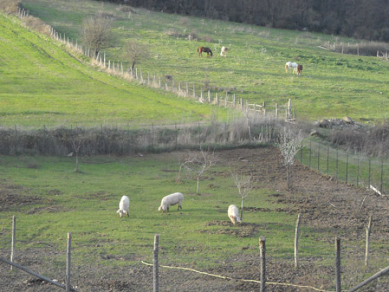 monte la puglia