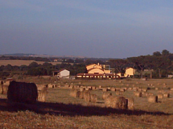 monte la puglia