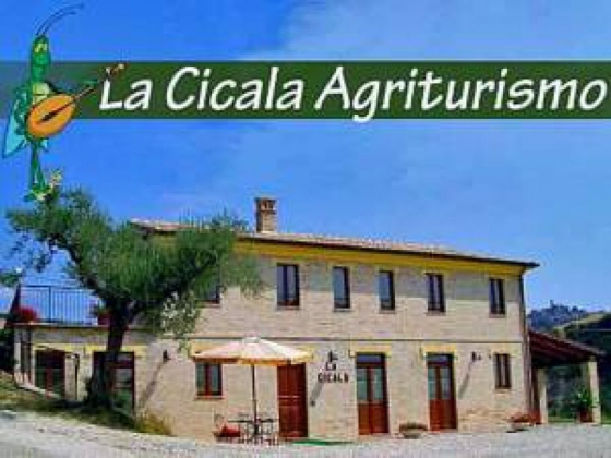  la cicala