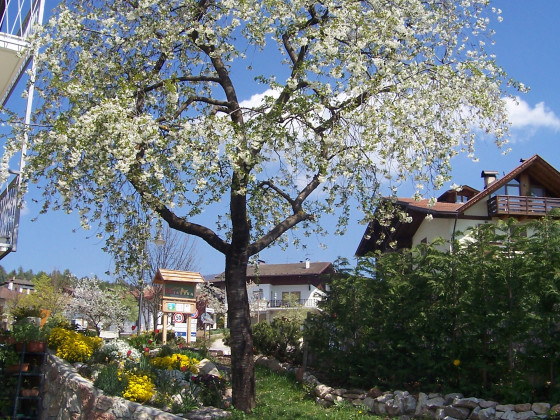 agritur cristina