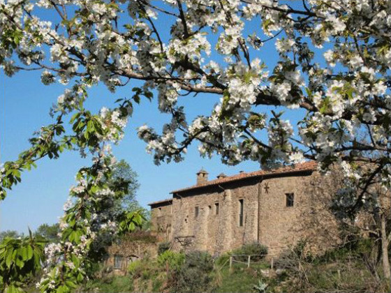 convento di novole