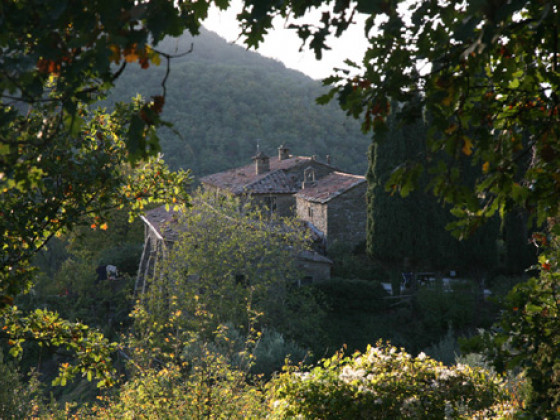 convento di novole