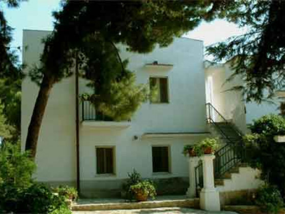 Tenute Cantine Cimaglia